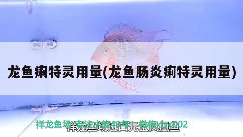 龍魚痢特靈用量(龍魚腸炎痢特靈用量)