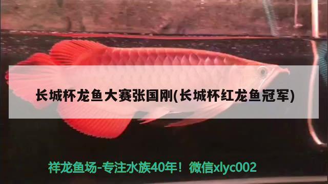 長城杯龍魚大賽張國剛(長城杯紅龍魚冠軍) 2024第28屆中國國際寵物水族展覽會CIPS（長城寵物展2024 CIPS）