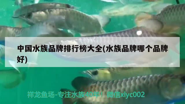 中國水族品牌排行榜大全(水族品牌哪個品牌好)