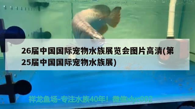 26屆中國國際寵物水族展覽會圖片高清(第25屆中國國際寵物水族展) 水族展會