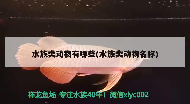 水族類動物有哪些(水族類動物名稱) 2024第28屆中國國際寵物水族展覽會CIPS（長城寵物展2024 CIPS）