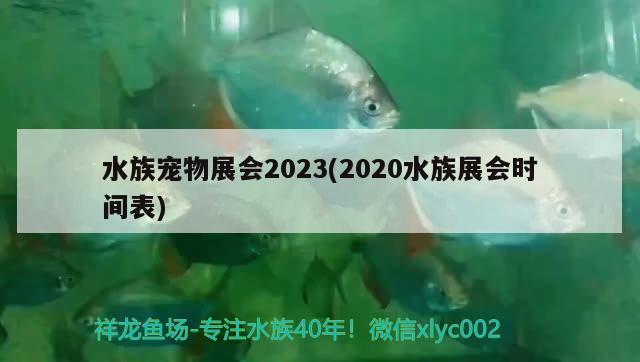 水族寵物展會2023(2020水族展會時間表) 水族展會