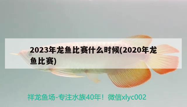 2023年龍魚比賽什么時候(2020年龍魚比賽) 2024第28屆中國國際寵物水族展覽會CIPS（長城寵物展2024 CIPS）