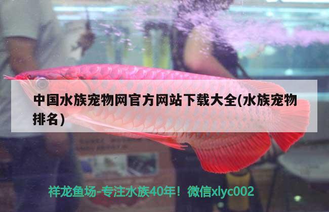 中國水族寵物網(wǎng)官方網(wǎng)站下載大全(水族寵物排名)