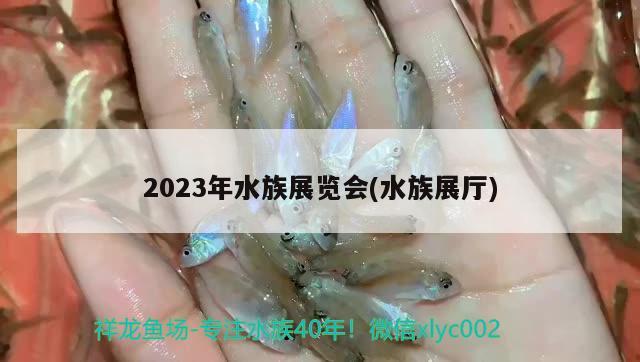 2023年水族展覽會(水族展廳)