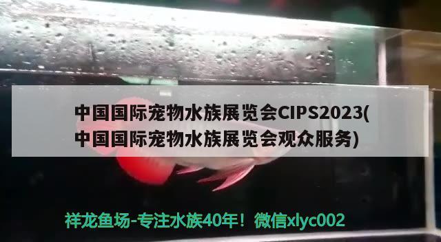 中國國際寵物水族展覽會CIPS2023(中國國際寵物水族展覽會觀眾服務)