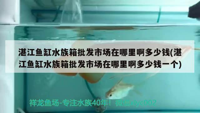 湛江魚缸水族箱批發(fā)市場(chǎng)在哪里啊多少錢(湛江魚缸水族箱批發(fā)市場(chǎng)在哪里啊多少錢一個(gè)) 魚缸/水族箱