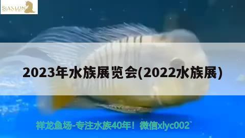 2023年水族展覽會(2022水族展)