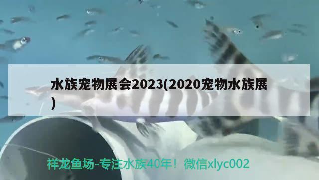 水族寵物展會2023(2020寵物水族展) 水族展會