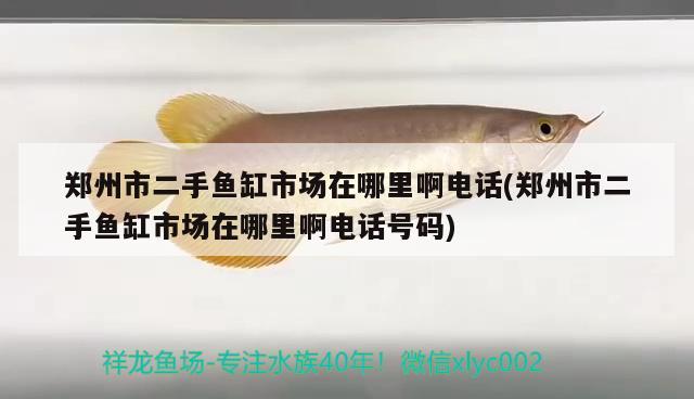 鄭州市二手魚(yú)缸市場(chǎng)在哪里啊電話(鄭州市二手魚(yú)缸市場(chǎng)在哪里啊電話號(hào)碼)