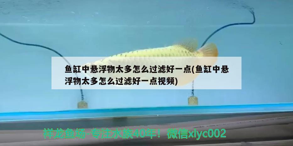 魚缸中懸浮物太多怎么過濾好一點(魚缸中懸浮物太多怎么過濾好一點視頻)