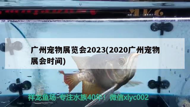 廣州寵物展覽會2023(2020廣州寵物展會時間)