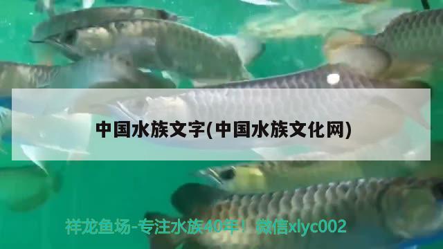 中國水族文字(中國水族文化網)