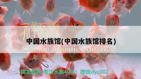 中國(guó)水族館(中國(guó)水族館排名) 2025第29屆中國(guó)國(guó)際寵物水族展覽會(huì)CIPS（長(zhǎng)城寵物展2025 CIPS）