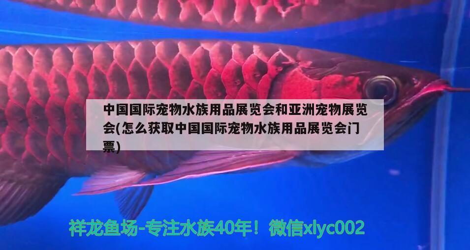 中國國際寵物水族用品展覽會和亞洲寵物展覽會(怎么獲取中國國際寵物水族用品展覽會門票)