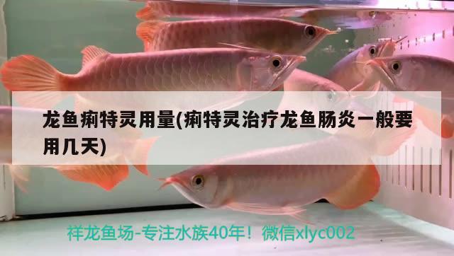 龍魚(yú)痢特靈用量(痢特靈治療龍魚(yú)腸炎一般要用幾天) 2025第29屆中國(guó)國(guó)際寵物水族展覽會(huì)CIPS（長(zhǎng)城寵物展2025 CIPS）