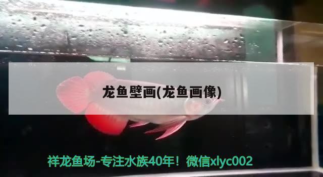 龍魚壁畫(龍魚畫像) 2024第28屆中國國際寵物水族展覽會CIPS（長城寵物展2024 CIPS）