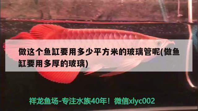 做這個魚缸要用多少平方米的玻璃管呢(做魚缸要用多厚的玻璃)