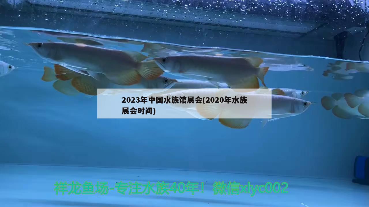 2023年中國(guó)水族館展會(huì)(2020年水族展會(huì)時(shí)間)