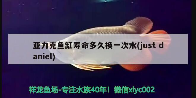 亞力克魚缸壽命多久換一次水(justdaniel)