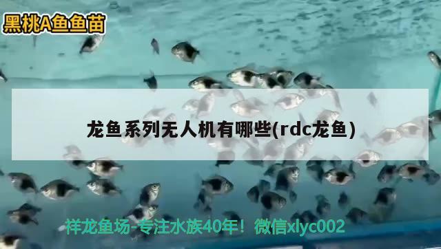 龍魚系列無(wú)人機(jī)有哪些(rdc龍魚)