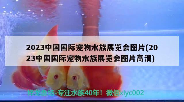 2023中國國際寵物水族展覽會圖片(2023中國國際寵物水族展覽會圖片高清)