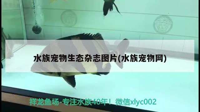 水族寵物生態(tài)雜志圖片(水族寵物網(wǎng)) 2024第28屆中國國際寵物水族展覽會CIPS（長城寵物展2024 CIPS）