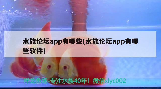 水族論壇app有哪些(水族論壇app有哪些軟件) 2024第28屆中國國際寵物水族展覽會CIPS（長城寵物展2024 CIPS）