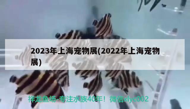 2023年上海寵物展(2022年上海寵物展) 2024第28屆中國(guó)國(guó)際寵物水族展覽會(huì)CIPS（長(zhǎng)城寵物展2024 CIPS）