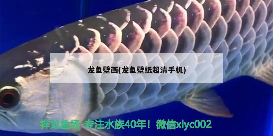 龍魚壁畫(龍魚壁紙超清手機) 2024第28屆中國國際寵物水族展覽會CIPS（長城寵物展2024 CIPS）