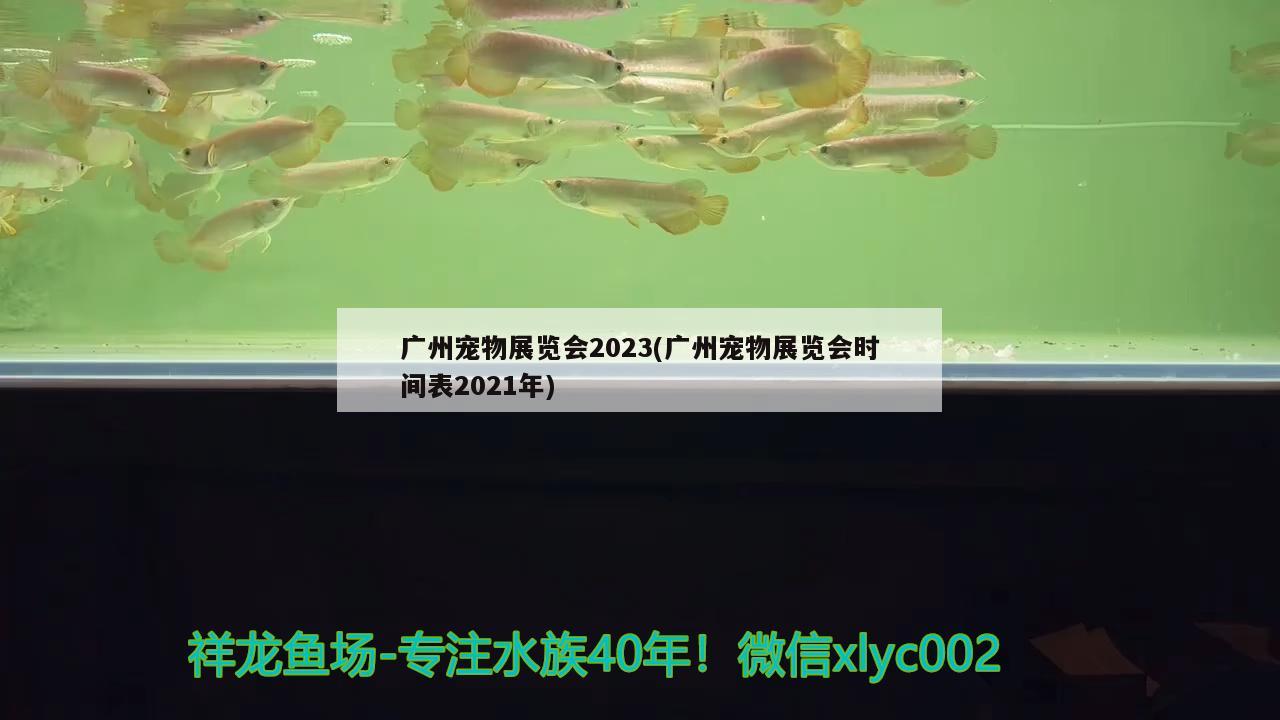 廣州寵物展覽會2023(廣州寵物展覽會時間表2021年)