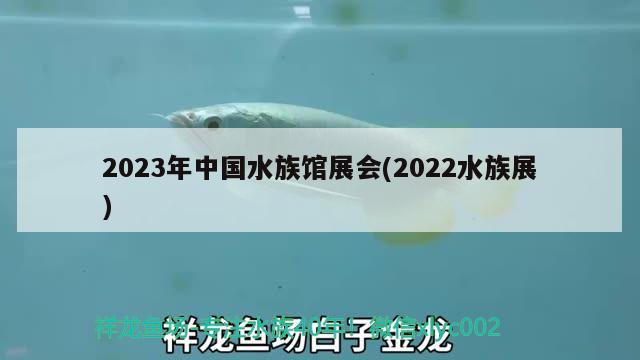 2023年中國(guó)水族館展會(huì)(2022水族展)