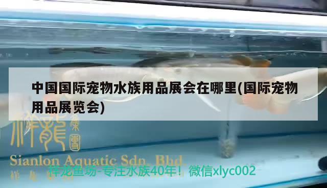 中國國際寵物水族用品展會在哪里(國際寵物用品展覽會) 水族用品