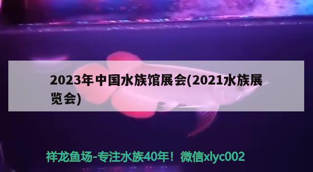 2023年中國(guó)水族館展會(huì)(2021水族展覽會(huì))