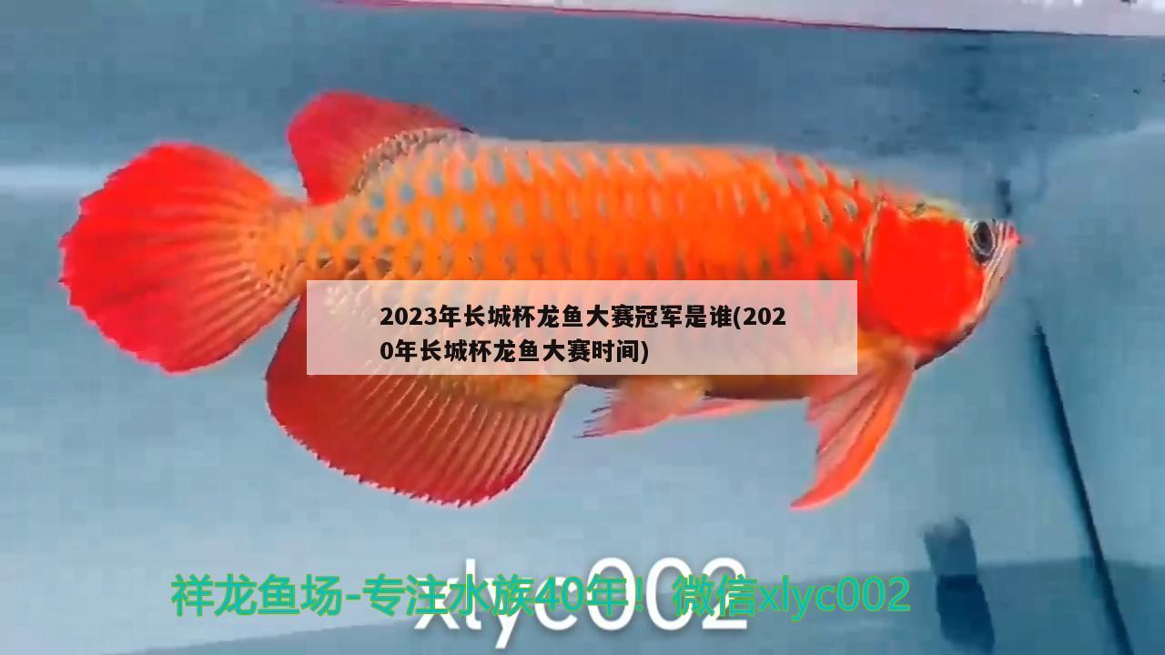 2023年長(zhǎng)城杯龍魚大賽冠軍是誰(2020年長(zhǎng)城杯龍魚大賽時(shí)間) 2024第28屆中國(guó)國(guó)際寵物水族展覽會(huì)CIPS（長(zhǎng)城寵物展2024 CIPS）