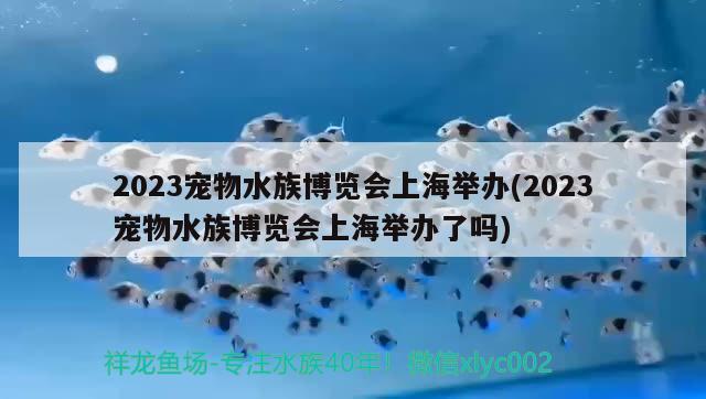 2023寵物水族博覽會上海舉辦(2023寵物水族博覽會上海舉辦了嗎) 2024第28屆中國國際寵物水族展覽會CIPS（長城寵物展2024 CIPS）