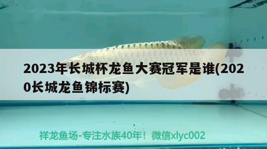 2023年長城杯龍魚大賽冠軍是誰(2020長城龍魚錦標賽)