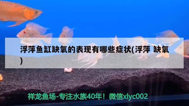 浮萍魚缸缺氧的表現(xiàn)有哪些癥狀(浮萍缺氧) 魚缸風(fēng)水