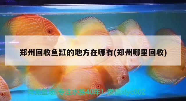 鄭州回收魚(yú)缸的地方在哪有(鄭州哪里回收)