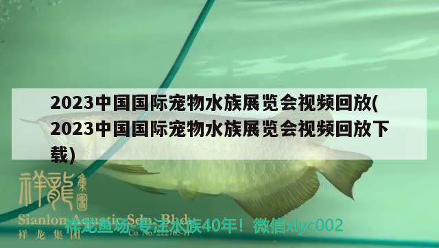 2023中國國際寵物水族展覽會視頻回放(2023中國國際寵物水族展覽會視頻回放下載)