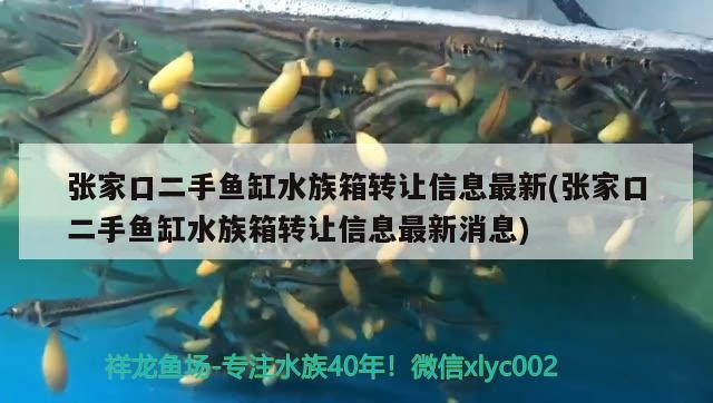 張家口二手魚(yú)缸水族箱轉(zhuǎn)讓信息最新(張家口二手魚(yú)缸水族箱轉(zhuǎn)讓信息最新消息)