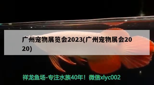 廣州寵物展覽會2023(廣州寵物展會2020)