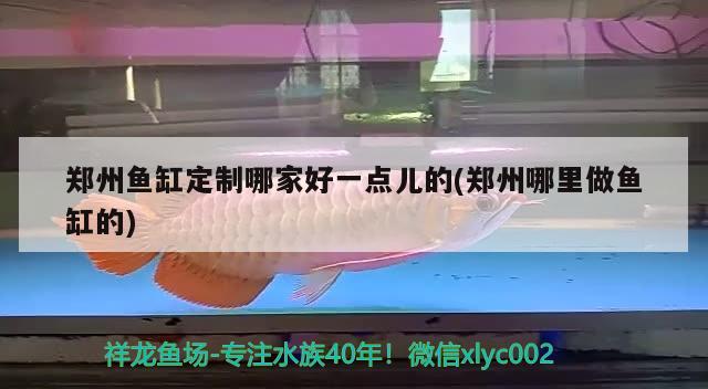 鄭州魚(yú)缸定制哪家好一點(diǎn)兒的(鄭州哪里做魚(yú)缸的) 金龍福龍魚(yú)