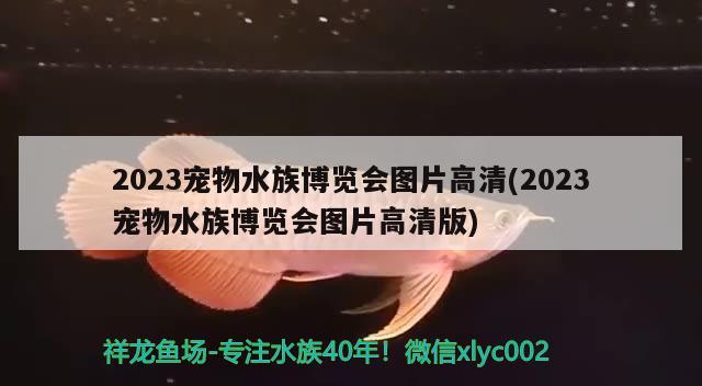 2023寵物水族博覽會(huì)圖片高清(2023寵物水族博覽會(huì)圖片高清版) 2024第28屆中國(guó)國(guó)際寵物水族展覽會(huì)CIPS（長(zhǎng)城寵物展2024 CIPS）