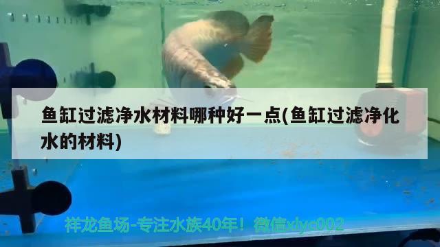 魚缸過濾凈水材料哪種好一點(魚缸過濾凈化水的材料) 斑馬鴨嘴魚苗