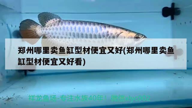 鄭州哪里賣魚(yú)缸型材便宜又好(鄭州哪里賣魚(yú)缸型材便宜又好看) 刀魚(yú)魚(yú)