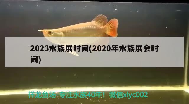 2023水族展時(shí)間(2020年水族展會(huì)時(shí)間)