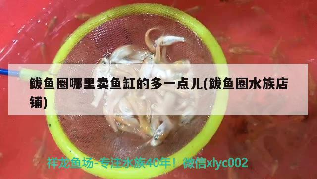 鲅魚圈哪里賣魚缸的多一點(diǎn)兒(鲅魚圈水族店鋪)