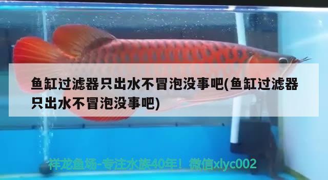 魚缸過濾器只出水不冒泡沒事吧(魚缸過濾器只出水不冒泡沒事吧) 女王大帆魚苗