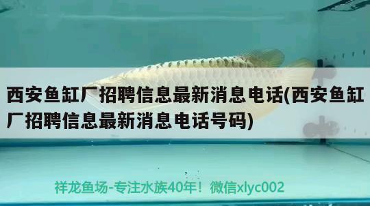 西安魚缸廠招聘信息最新消息電話(西安魚缸廠招聘信息最新消息電話號碼) 豹紋夫魚苗 第1張